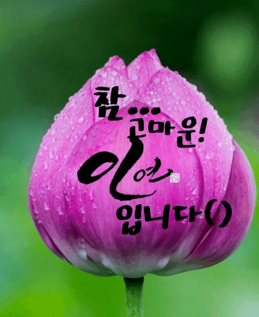 좋은인연 이미지