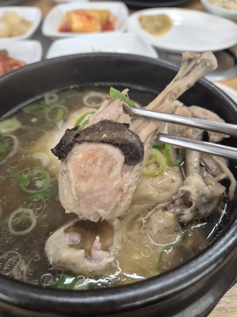 박가네 능이백숙삼계탕 이미지