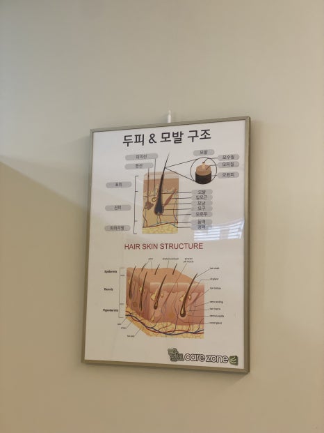 탈모케어존부산 이미지