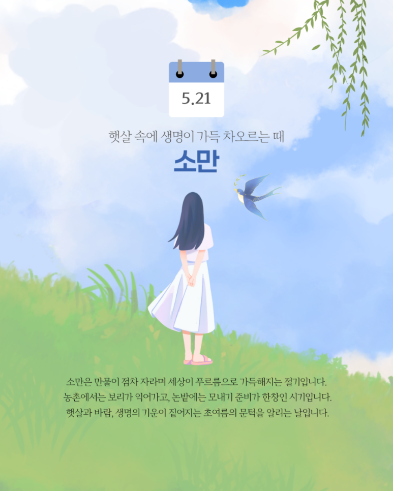 리듬과계절 이미지
