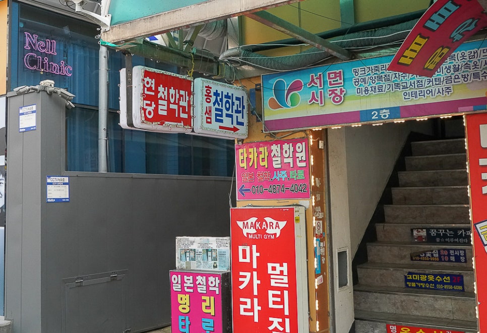 홍샘 이미지