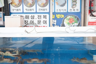 미자네횟집 이미지