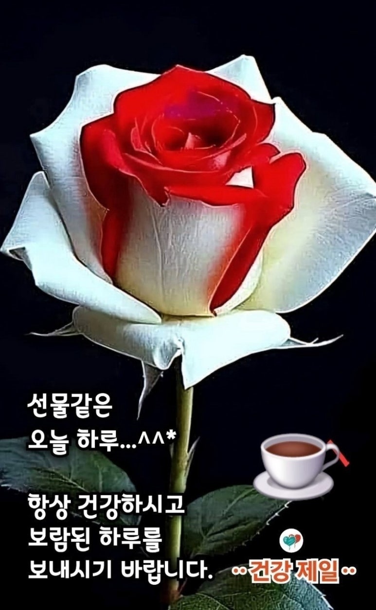 우리정보 이미지