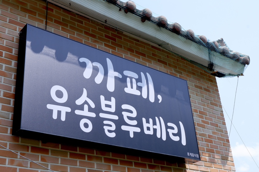 유송블루베리농장 이미지