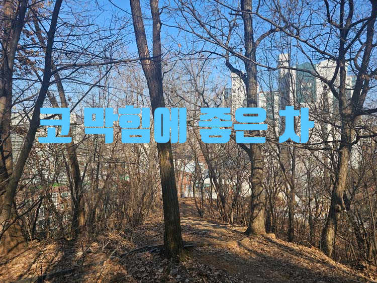 좋은차만들기 이미지