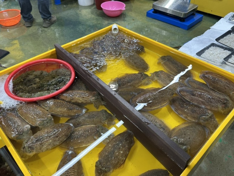 삼길포건어물 이미지