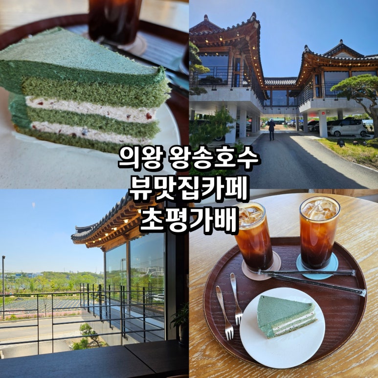 초평가배 이미지