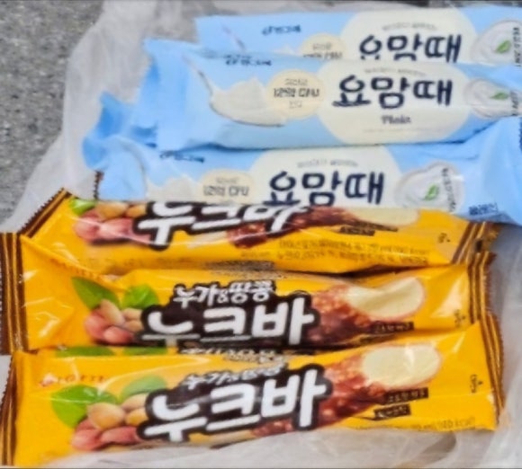 샤르뜨 이미지