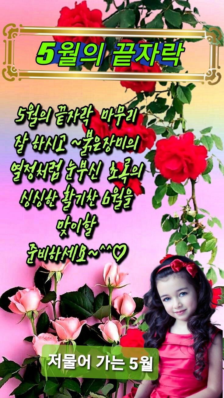 리미 이미지