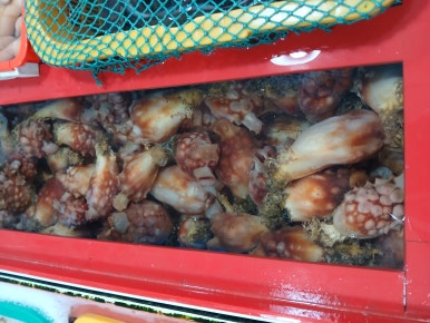 용궁회수산 이미지