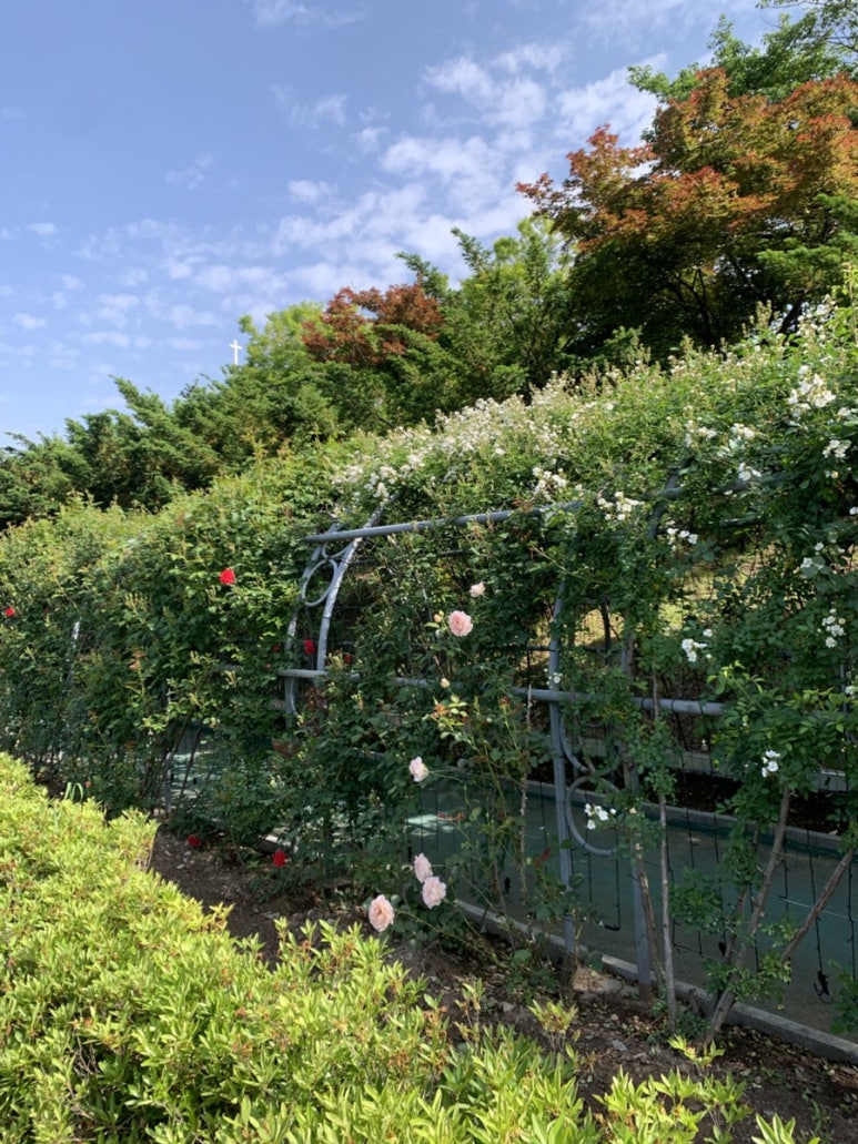 소백산동동주 원조매운칼국수집 이미지