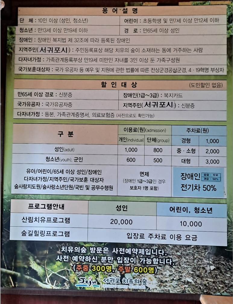 여행숲 이미지