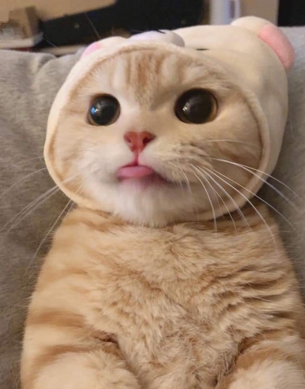 미미국밥 이미지