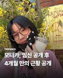 스타일후 이미지