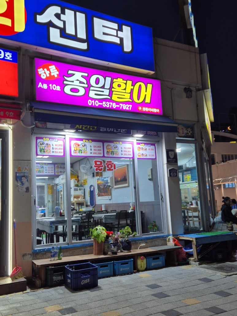 종일활어 이미지