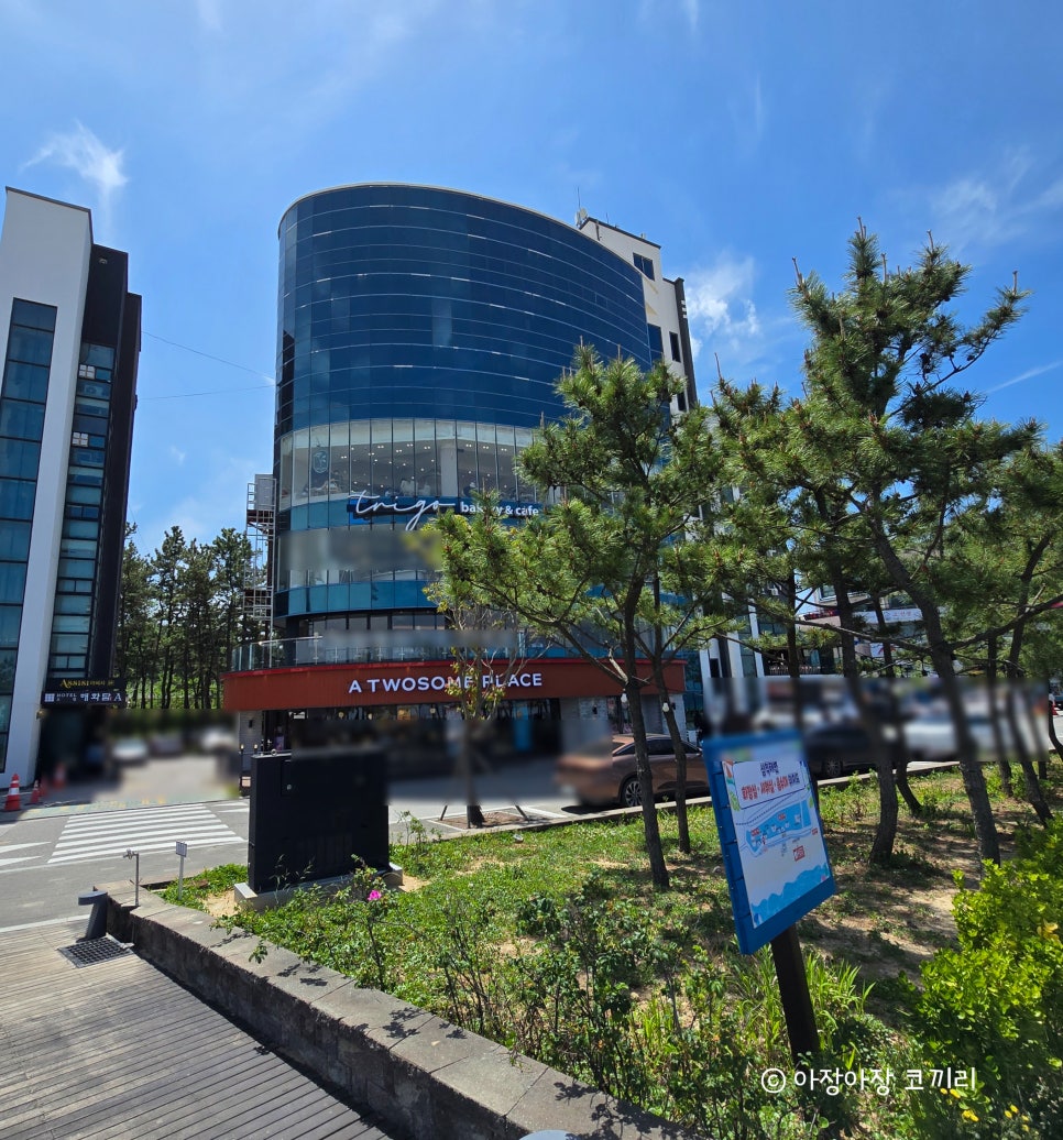 투썸플레이스삼척해수욕장점 이미지