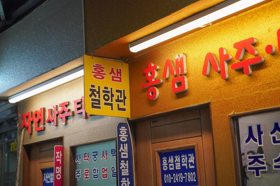 홍샘 이미지