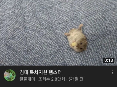 그냥거기 이미지