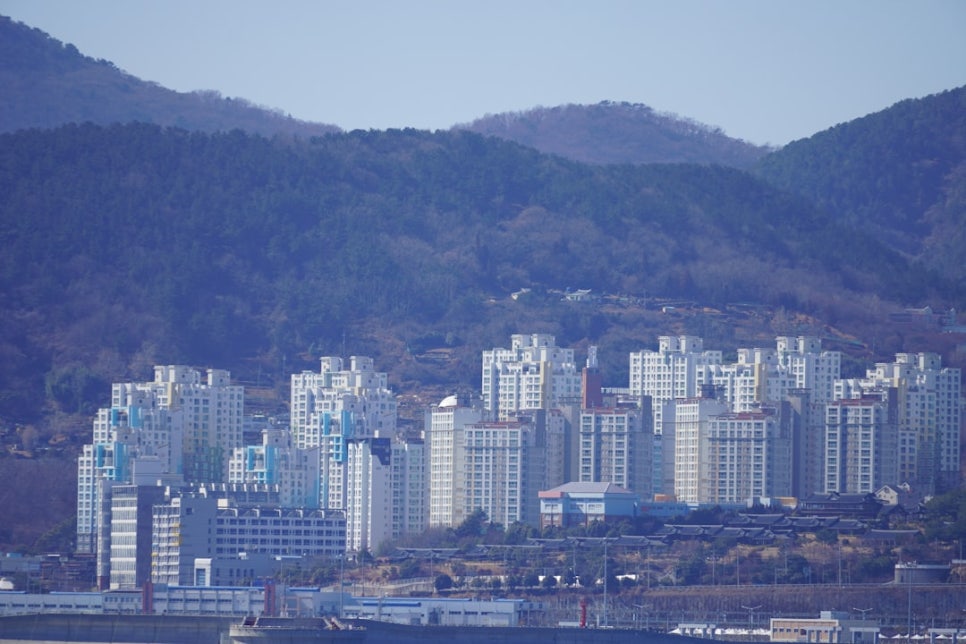 영덕특산물 이미지
