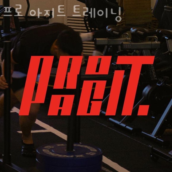 프로아지트 이미지