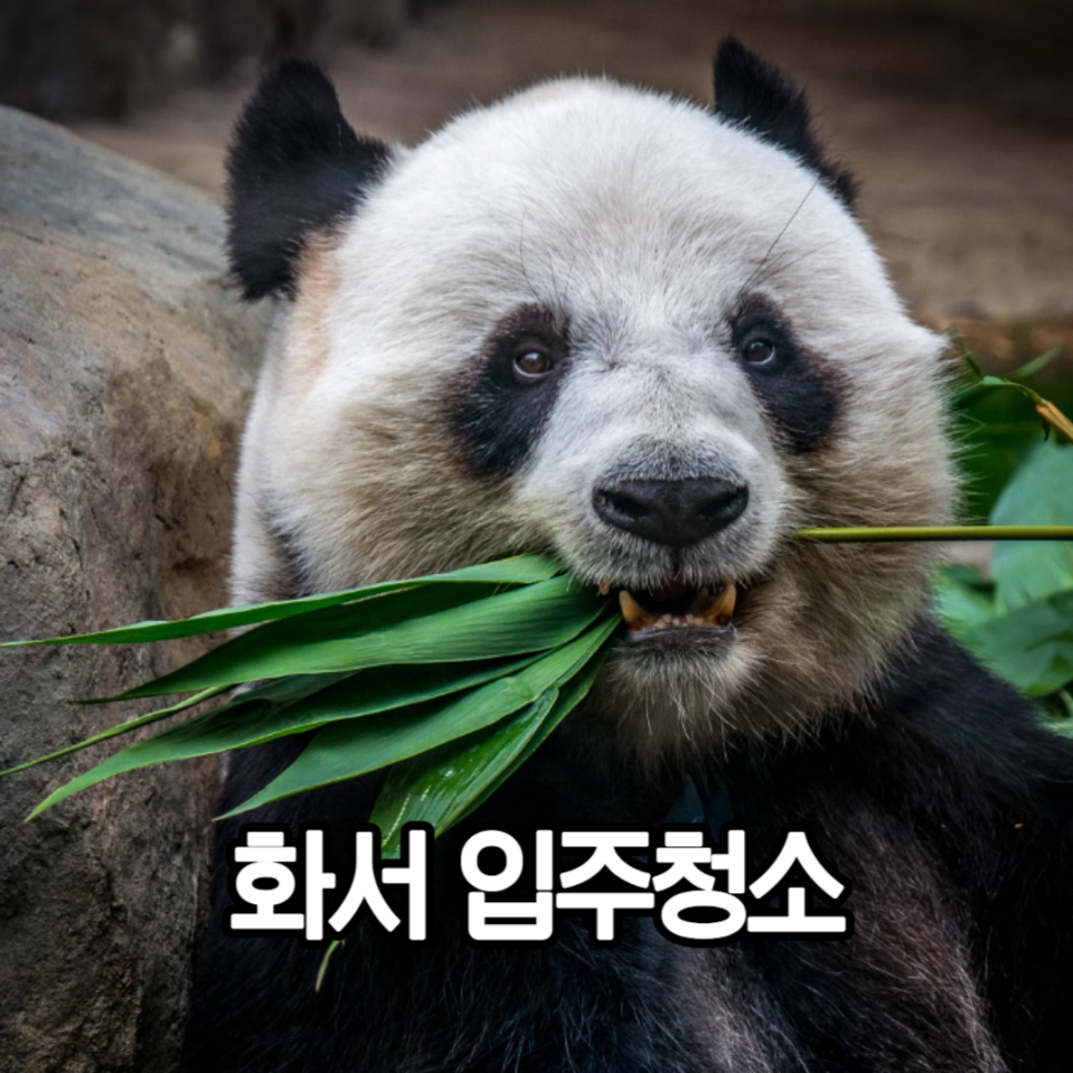 장안차바닥 이미지