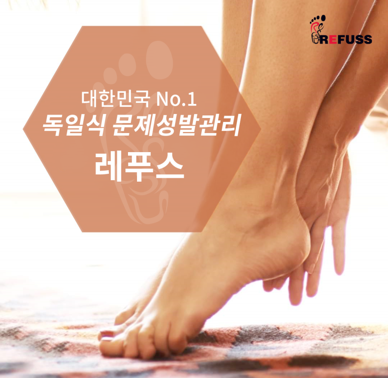 레푸스 이미지
