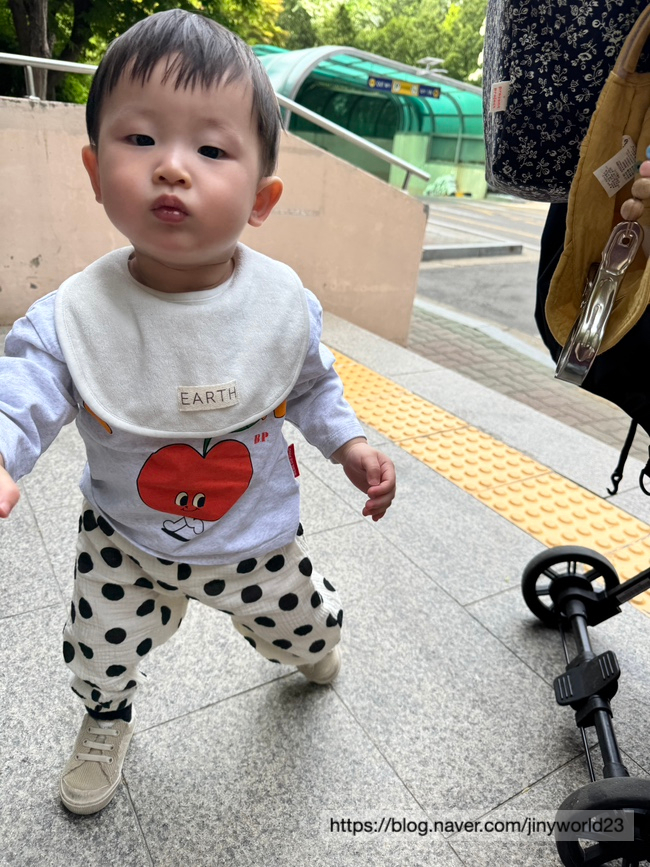 올라올라 이미지
