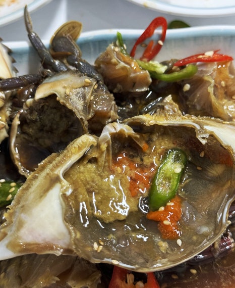 철따라 이미지