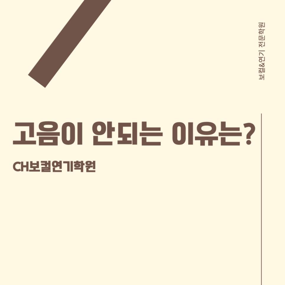 씨에이치보컬연기학원 이미지