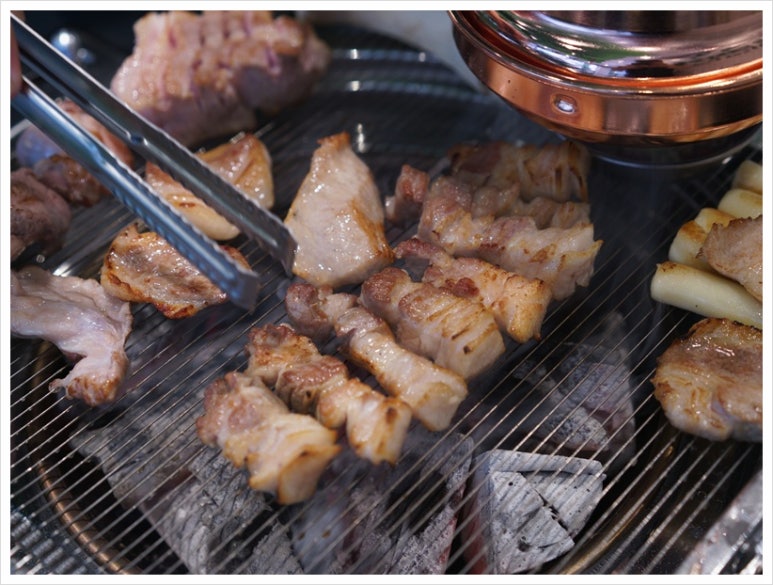 중앙돼지 이미지