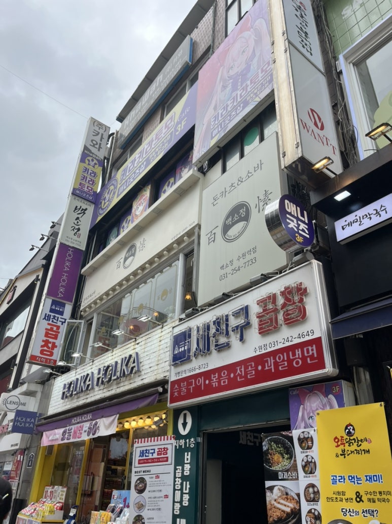 홀리카홀리카수원 이미지