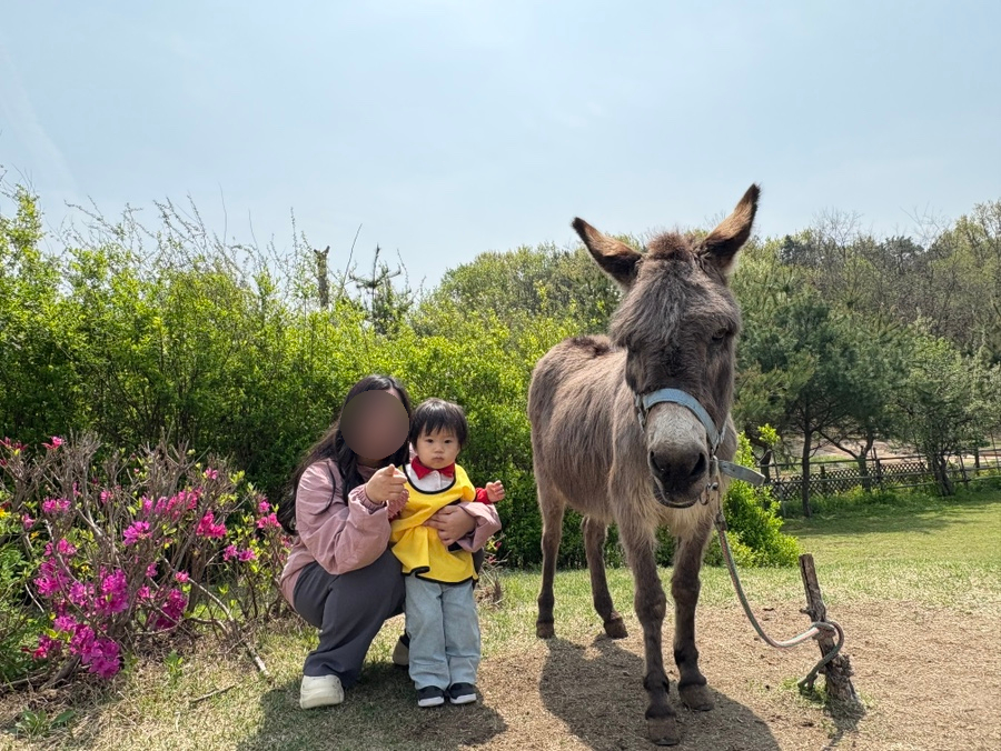 덕평공룡수목원 이미지