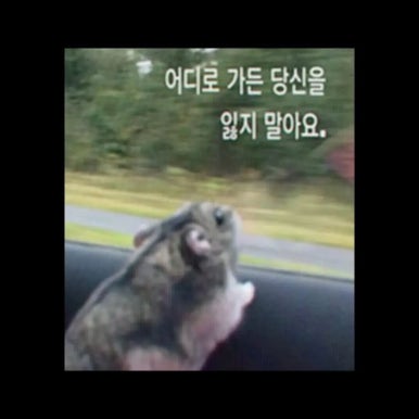 그냥거기 이미지