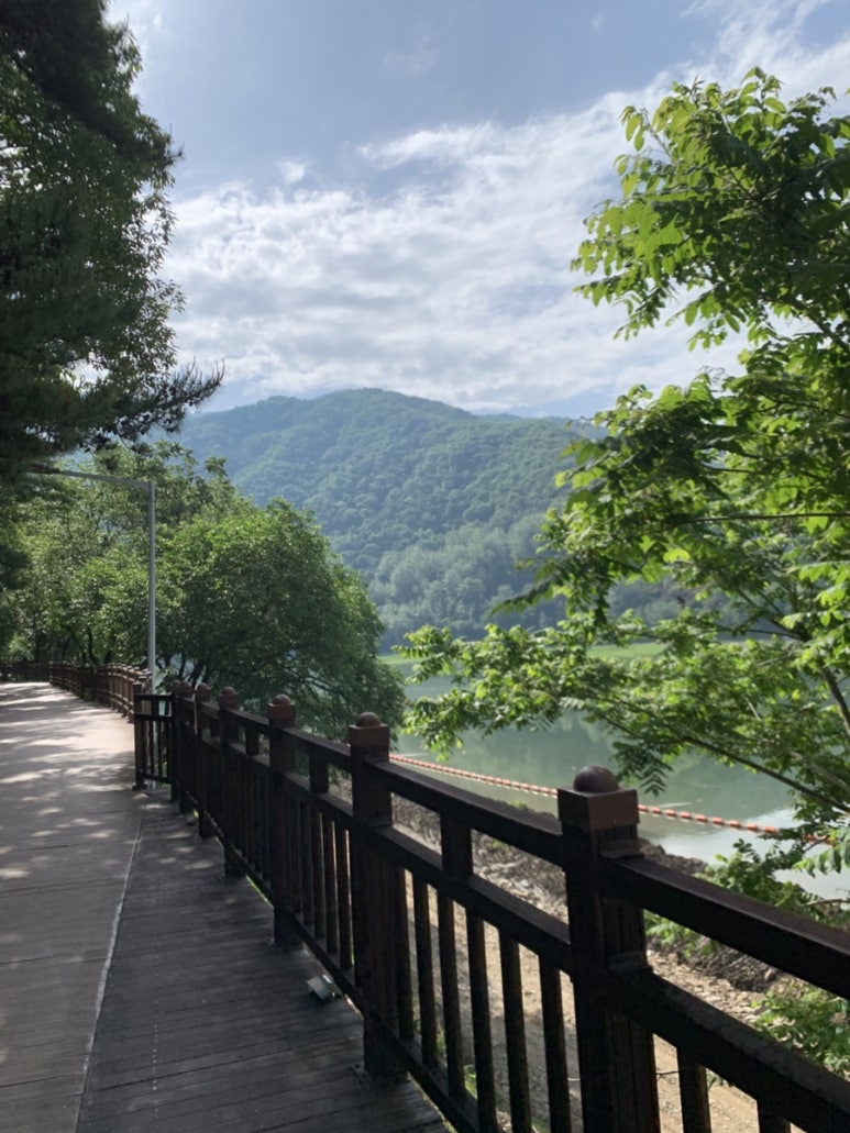 소백산동동주 원조매운칼국수집 이미지