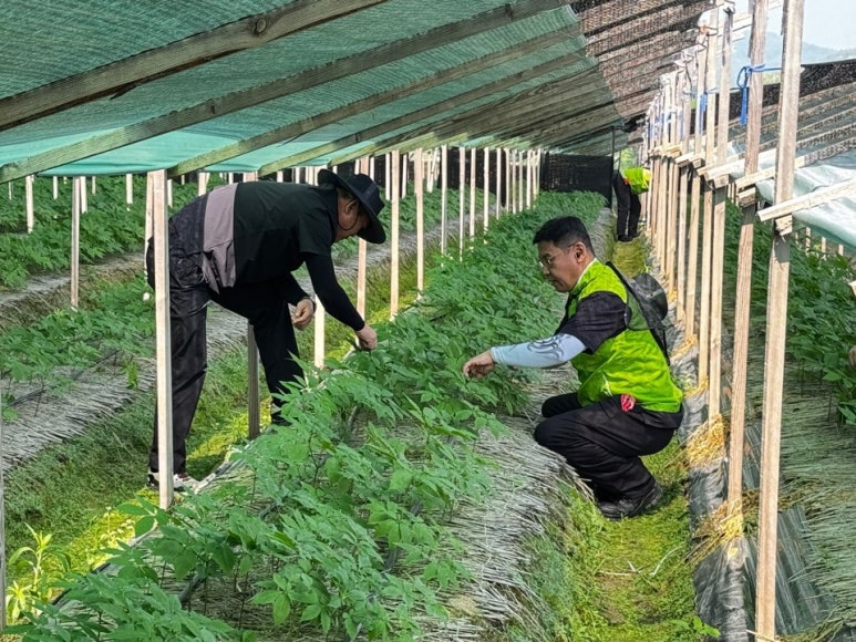 농협경제지주(주) 이미지