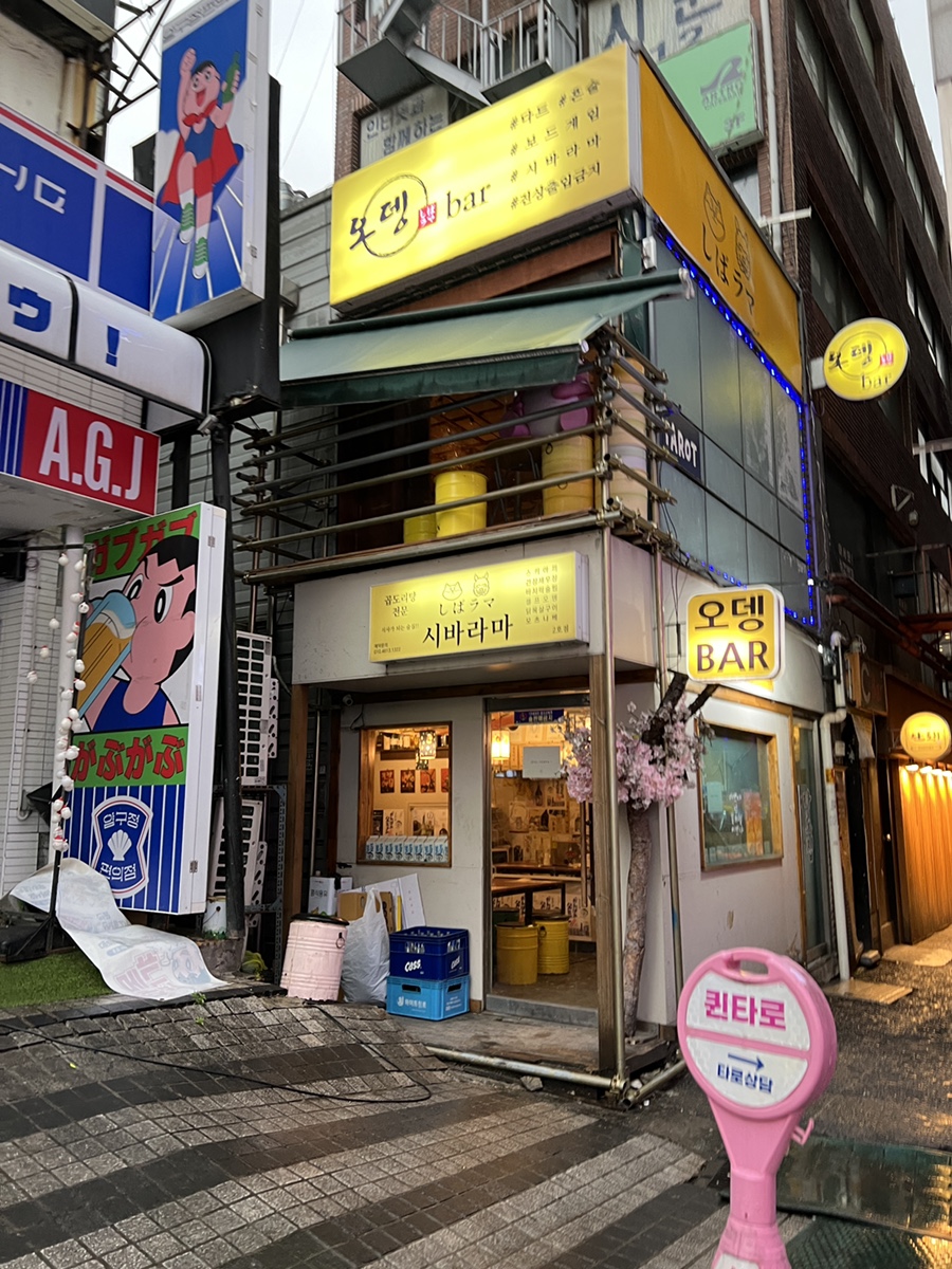 시바라마2 이미지