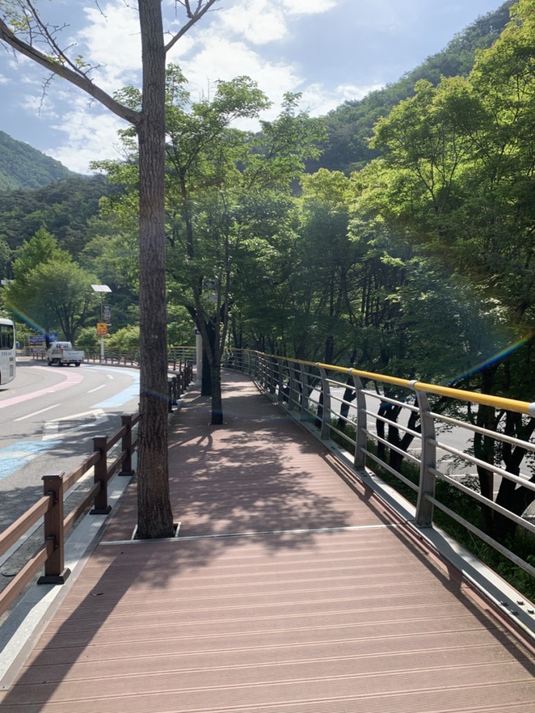 소백산동동주 원조매운칼국수집 이미지