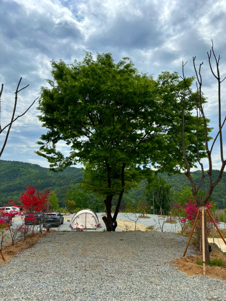 충주 알프스 캠핑장 이미지
