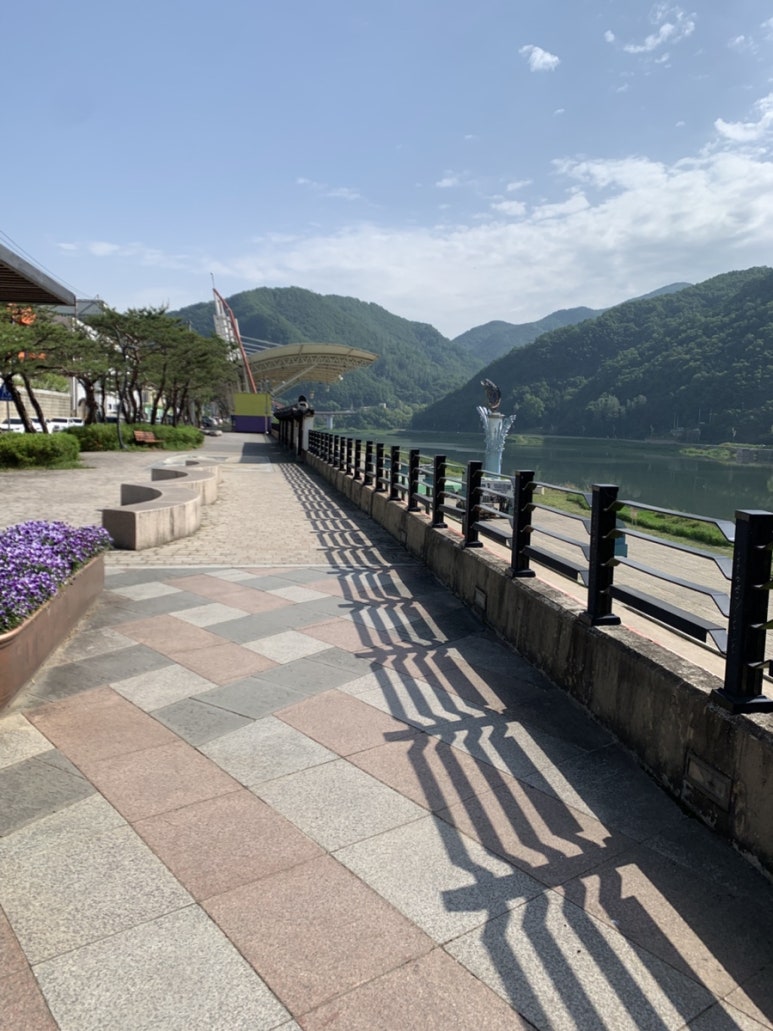 소백산동동주 원조매운칼국수집 이미지