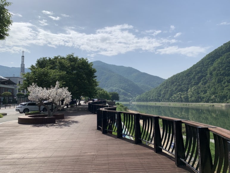 소백산동동주 원조매운칼국수집 이미지