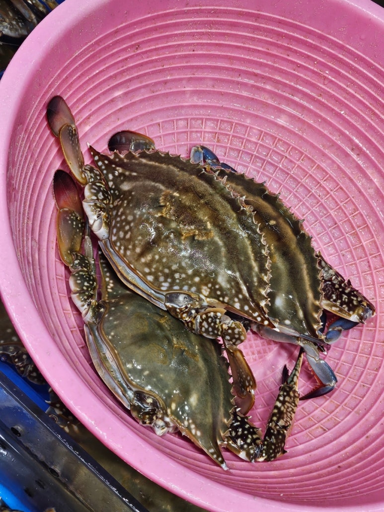 영선상회 이미지