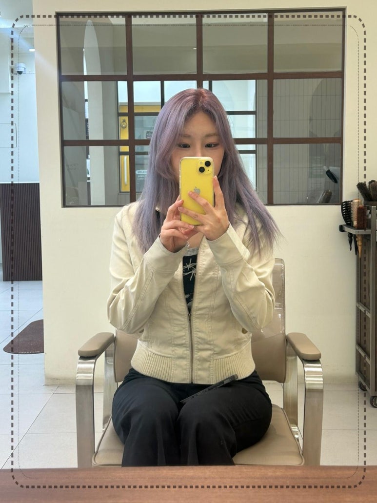 메이에르 이미지