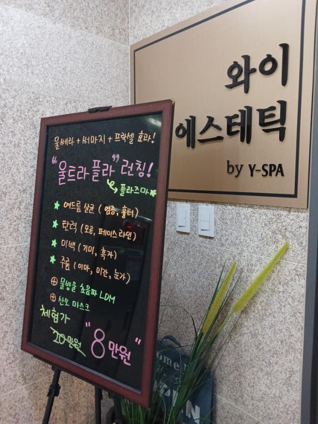 에스테틱도도 이미지