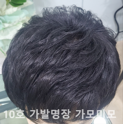 가모미모 이미지