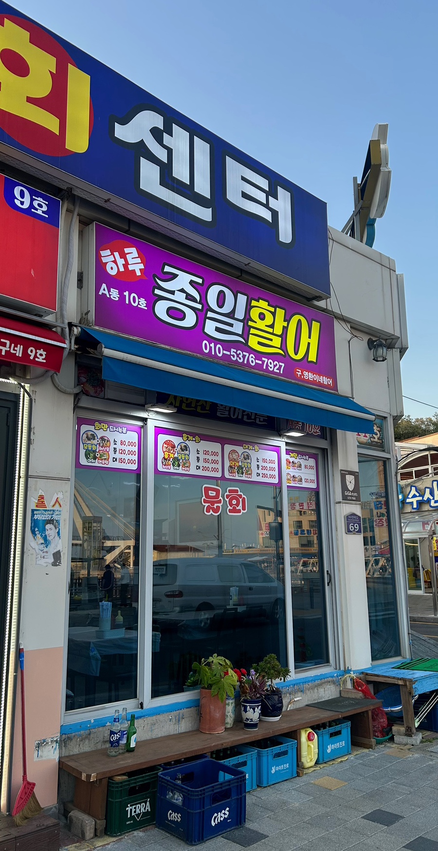 종일활어 이미지
