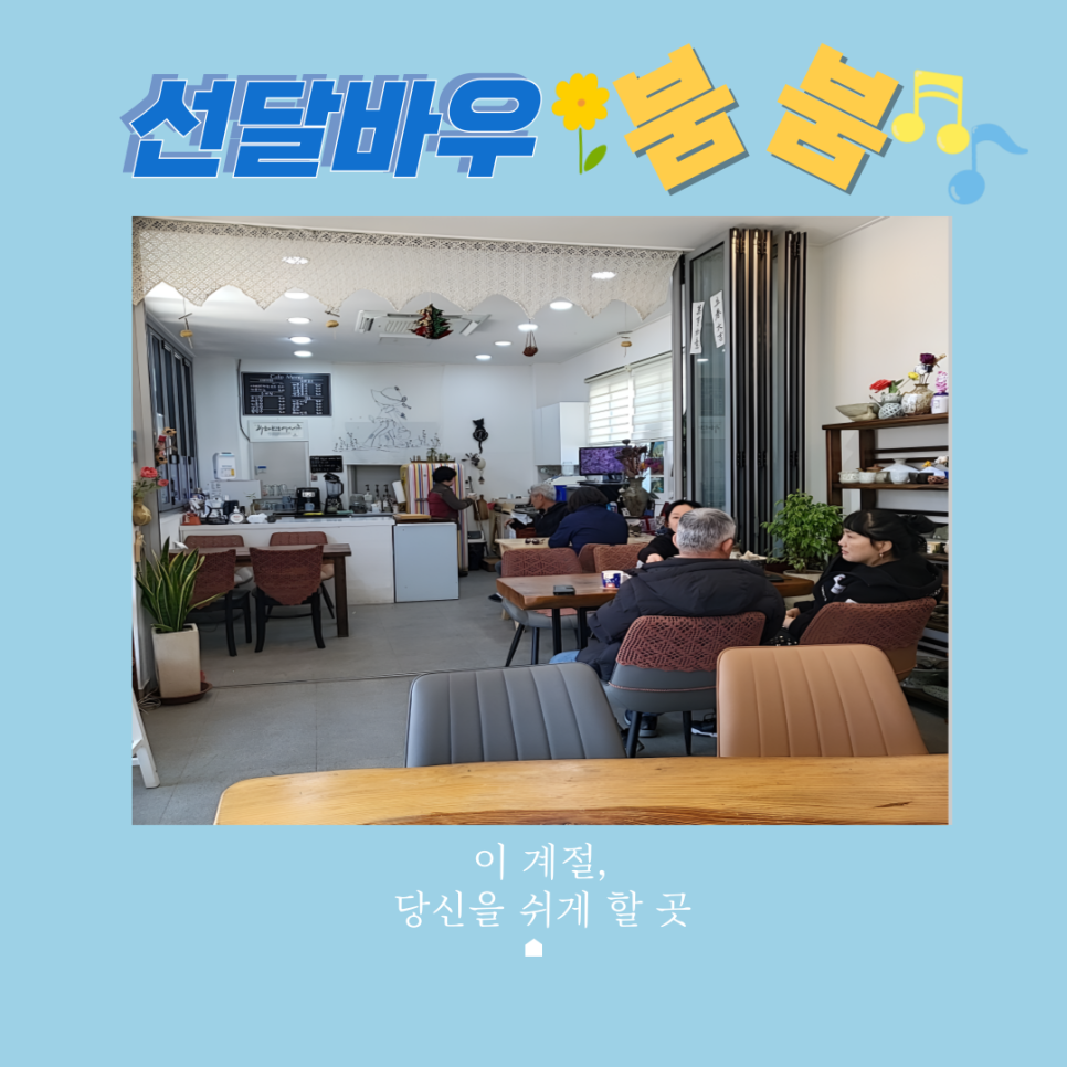 선달바우 이미지