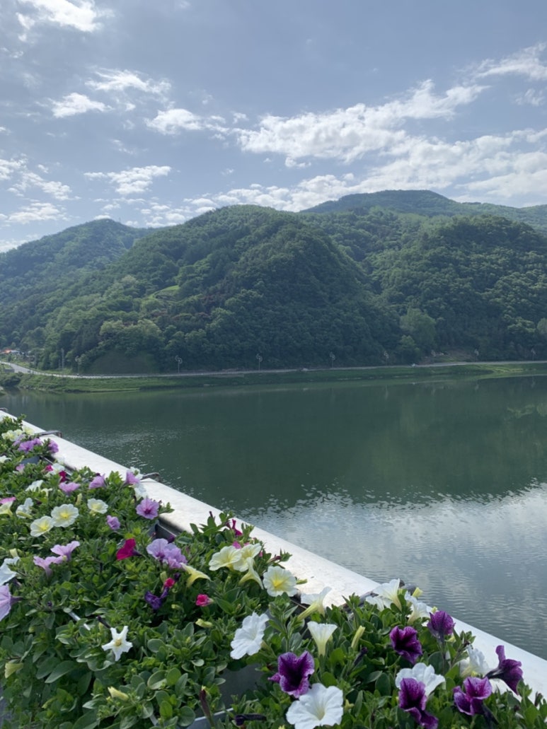 소백산동동주 원조매운칼국수집 이미지