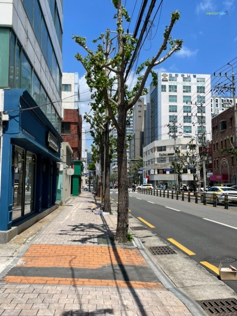 소비지 이미지