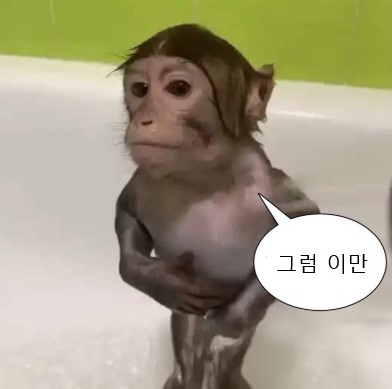 광진자동차유리 이미지