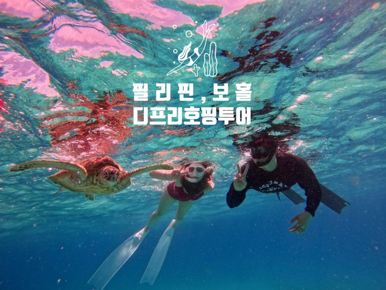 디프리투어 이미지